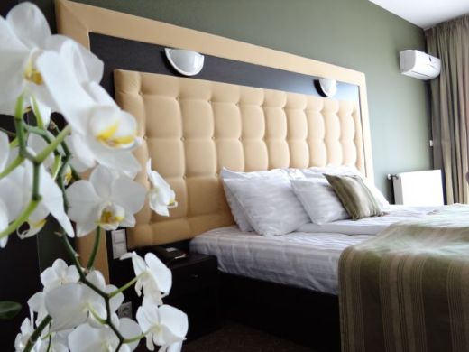 Hotel OZANA