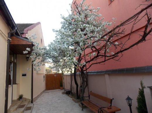 Vila Arthouse Lucrezia