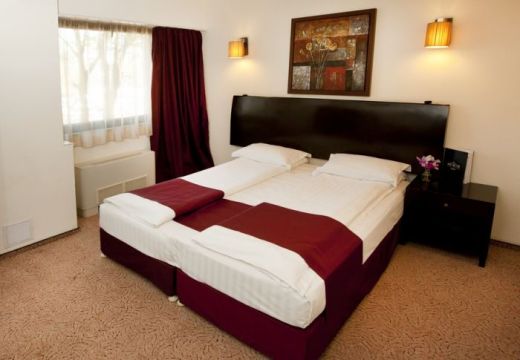 Hotel AVIS Boutique
