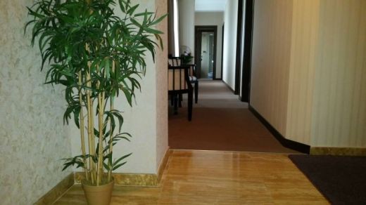 Hotel VILA ANTICUS