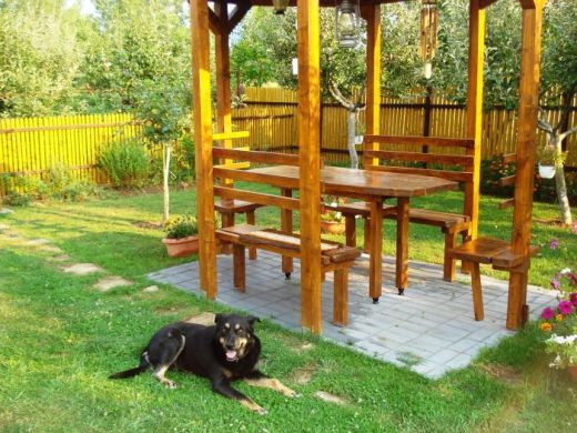 Pensiunea Podgoria Guesthouse