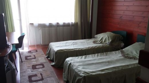 Hotel SILVA