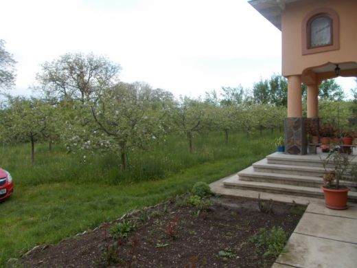 Vila  camere de inchiriat ' Casa Ilea' -Agapia