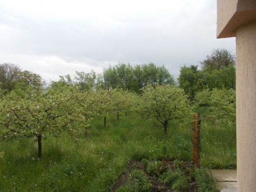 Vila  camere de inchiriat ' Casa Ilea' -Agapia