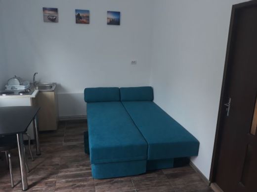 Apartament regim hotelier Apartament La Curte Oana