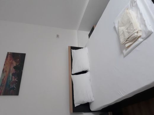 Apartament regim hotelier Apartament La Curte Oana