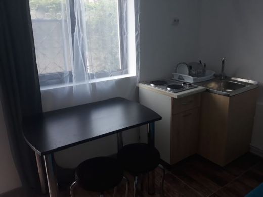 Apartament regim hotelier Apartament La Curte Oana