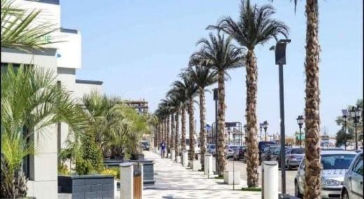 Apartament regim hotelier Apartament LyLu 
