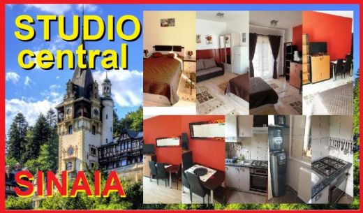 Garsoniera regim hotelier Best Choice