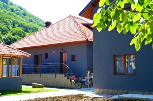 Vila The Grey House