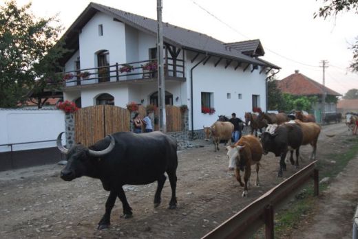 Pensiunea Casa Mosului