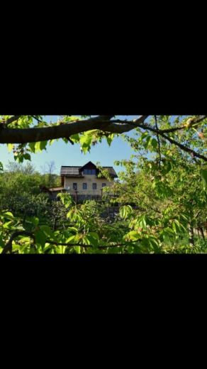 Cabana Căsuța Din Padure