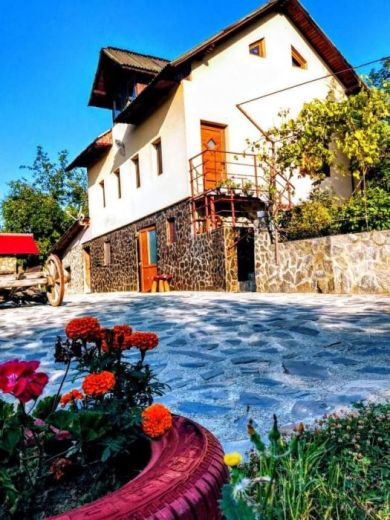 Cabana Căsuța Din Padure
