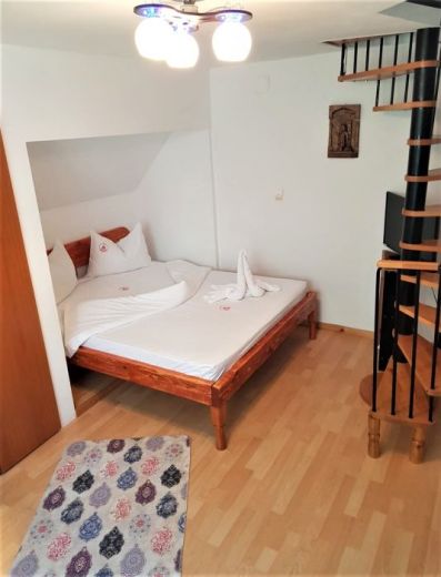 Pensiunea CASA SAOS 
