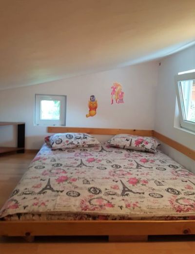 Pensiunea CASA SAOS 