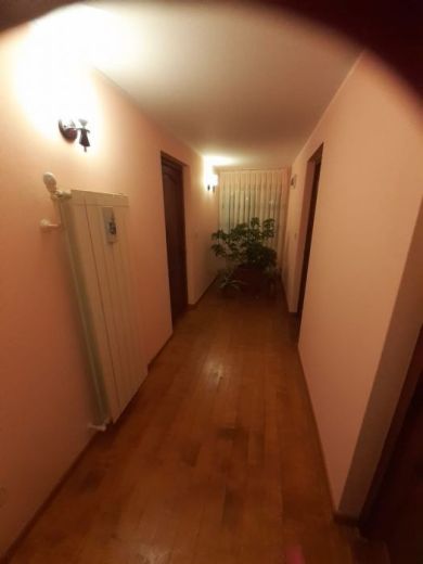 Vila Casa Mona