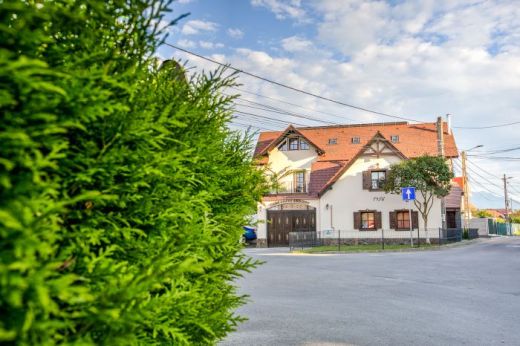 Vila Ambient Chalet