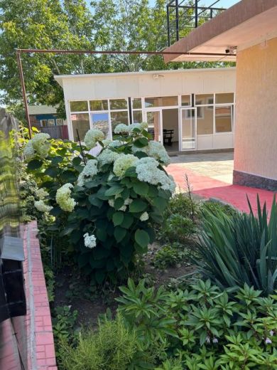 Hostel Sea Breeze Costinesti