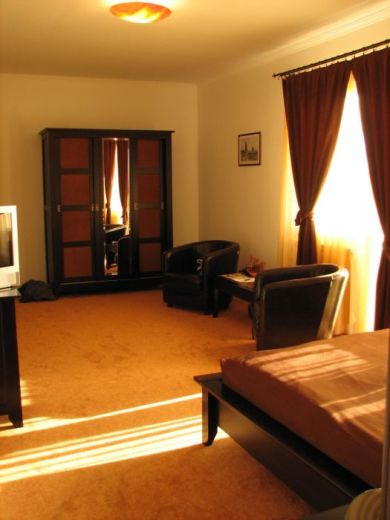 Vila Vlad