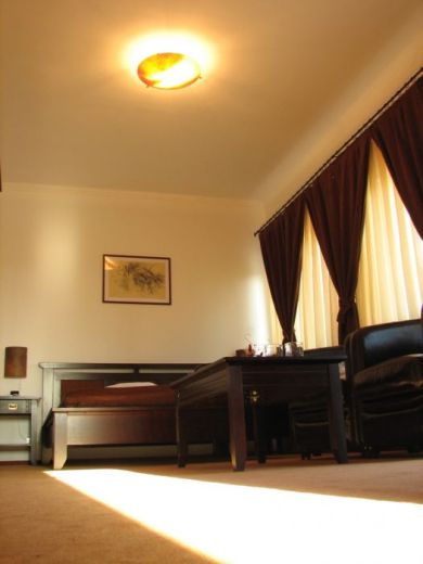 Vila Vlad