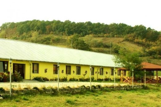 Hostel Doua Salcii, Aiud