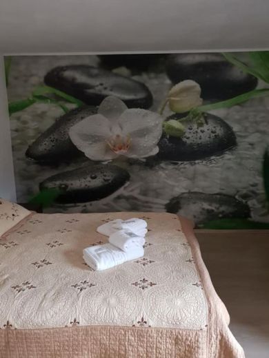 Pensiunea  Ciobanelu
