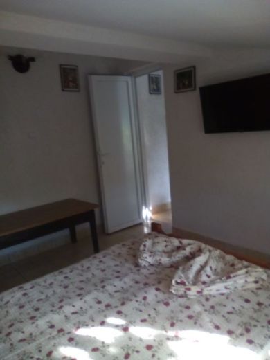 Apartament regim hotelier Casa Pinciuc Costinesti
