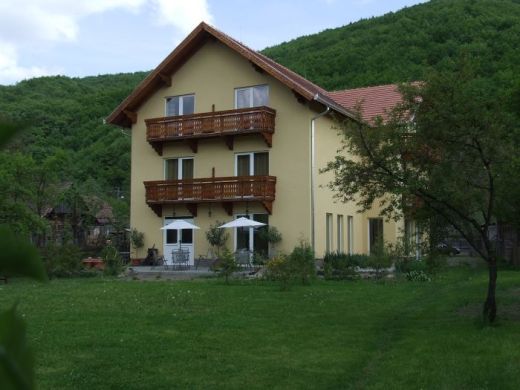 Pensiunea Foenix, Praid