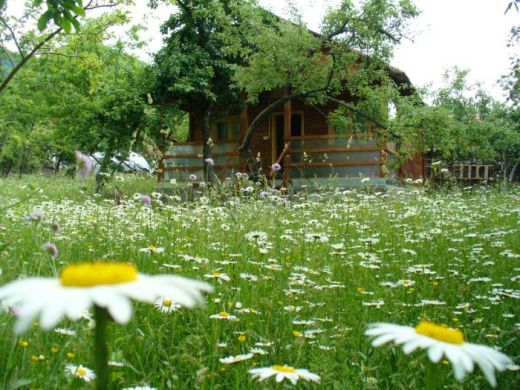 Cabana Maduta, Chiscau