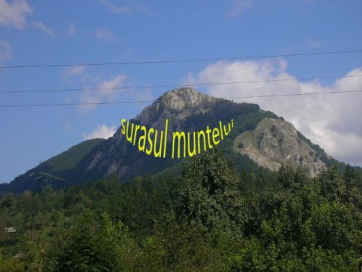 Pensiunea Surasul Muntelui