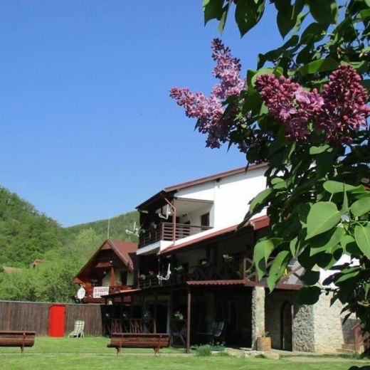 Cabana Poiana Galdei