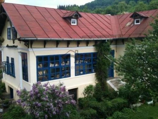 Vila Casa Cristina Bradetu