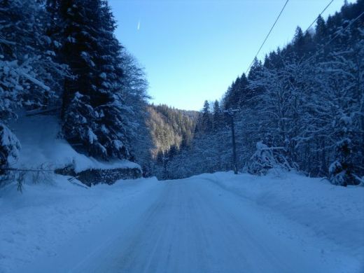 Cabana Dara, Piscu Negru