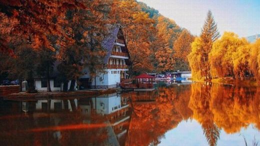 Pensiunea Lacul Linistit, Moneasa