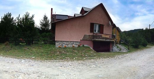 Vila Casa Bradut