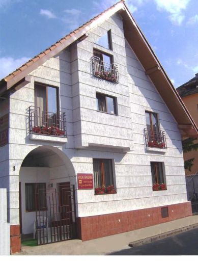 Vila Andra, Sibiu