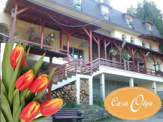 Pensiunea Casa Olga