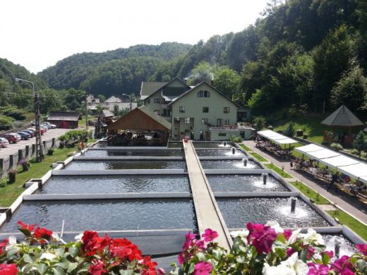 Hotel LOSTRITA, Baia Mare