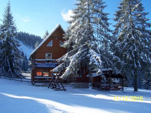 Pensiunea  HEIDI, Arieseni