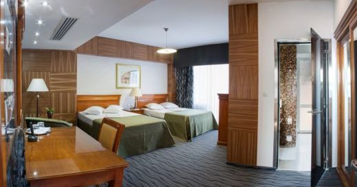 Hotel Oltenia