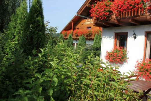 Pensiunea Casa Romantic
