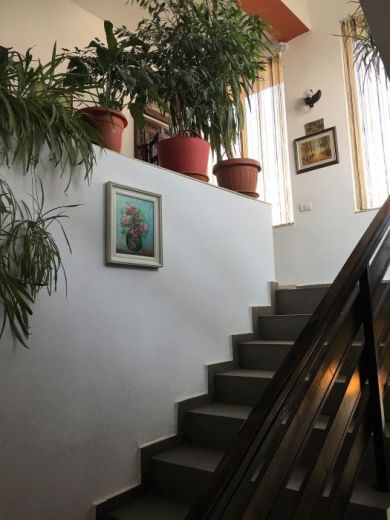 Hotel TACO