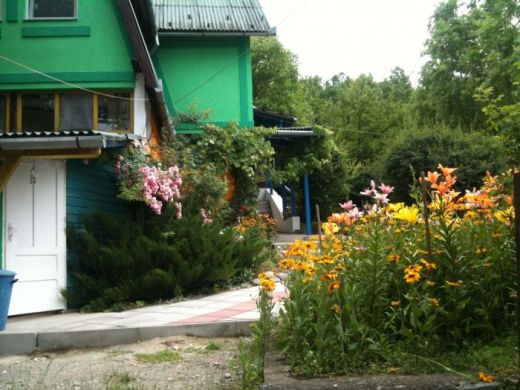 Pensiunea ZOLD LAGUNA