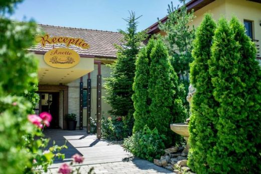 Pensiunea Anette Resort