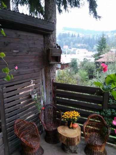Vila DARIANA, Vatra Dornei